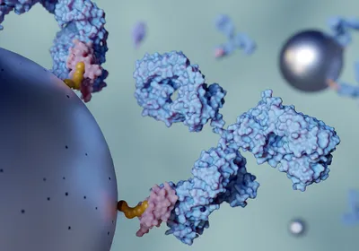 3D illustration of an antibody bound to a metallic nanoparticle.